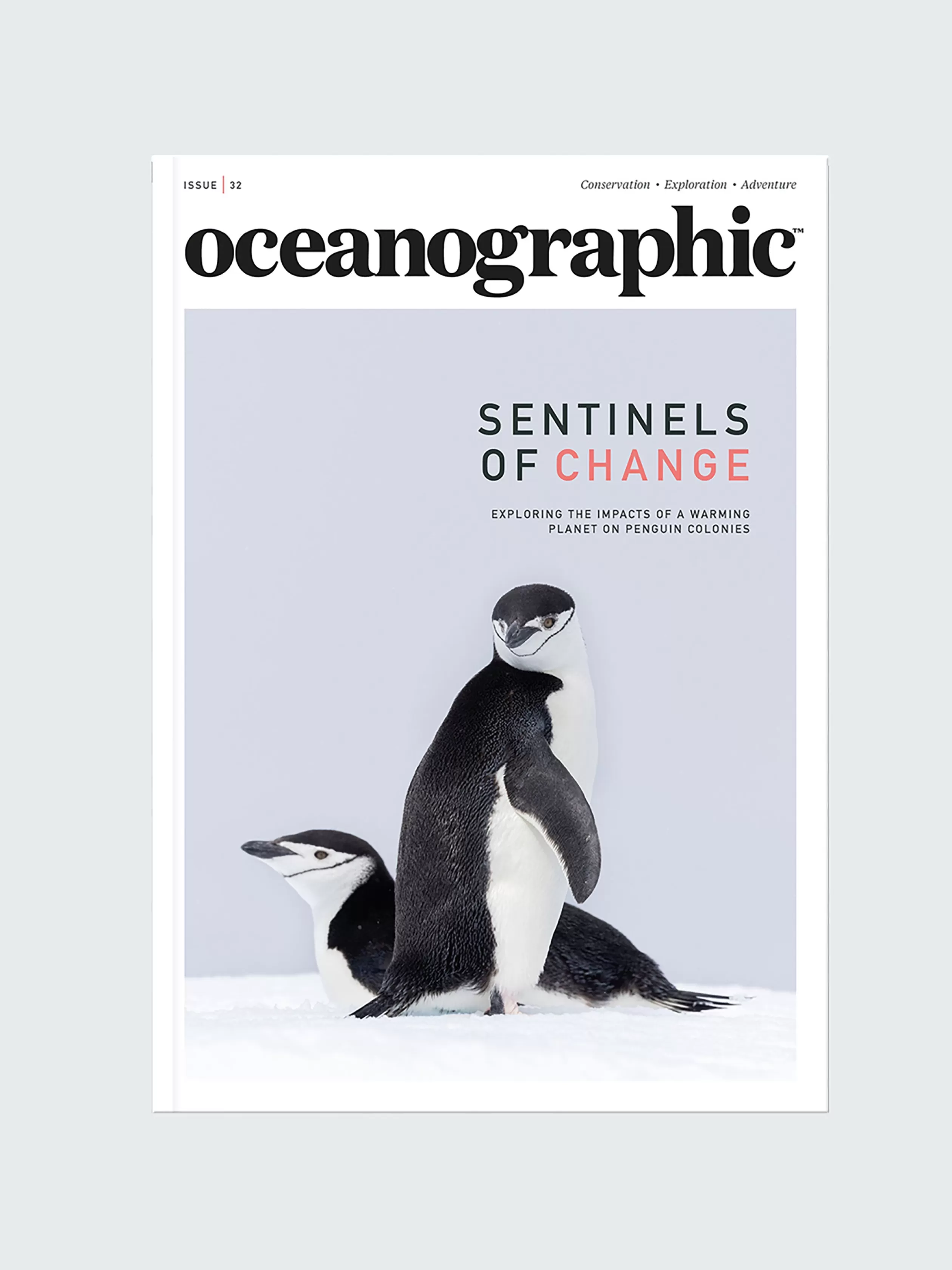 Finisterre Oceanographic, Issue 32<Women Books & Magazines | Books & Magazines